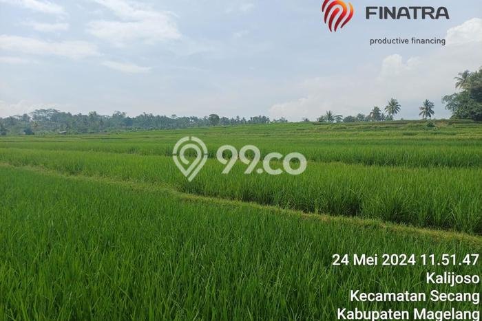 Tanah Komersial Dijual di Secang Magelang 1432m2 Tanah Komersial Dijual di Secang Magelang 1432m2