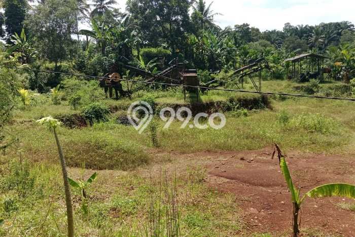 Tanah Dijual Lokasi Batanghari, Lampung Timur Luas 3303m2 Legalitas Aman Tanah Dijual Lokasi Batanghari, Lampung Timur Luas 3303m2 Legalitas Aman