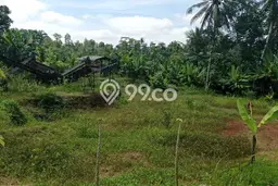 Tanah Dijual Lokasi Batanghari, Lampung Timur Luas 3303m2 Legalitas Aman Tanah Dijual Lokasi Batanghari, Lampung Timur Luas 3303m2 Legalitas Aman