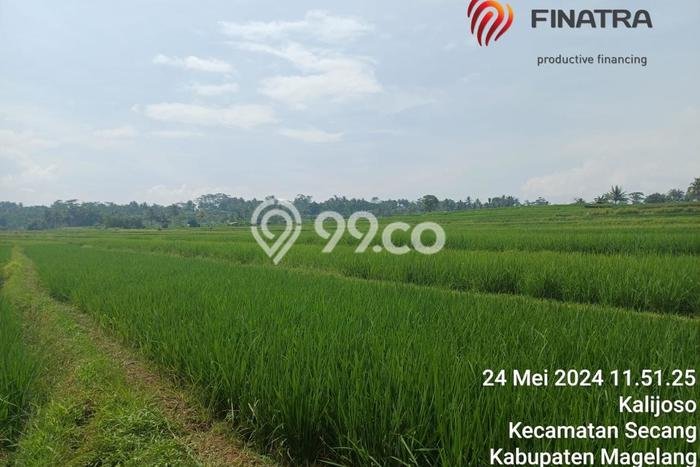 Tanah Komersial Dijual di Secang Magelang 1432m2 Tanah Komersial Dijual di Secang Magelang 1432m2