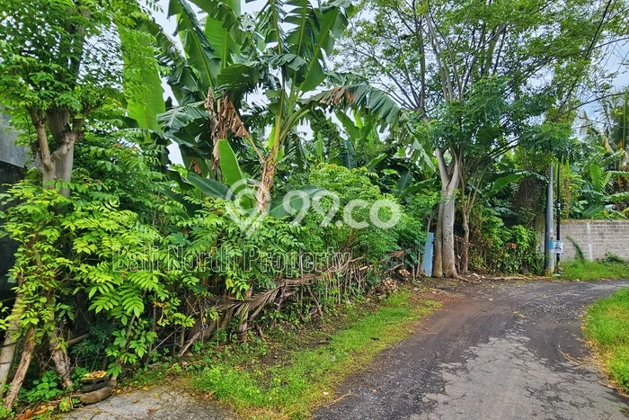 Kavling Tanah untuk Dijual di Lovina, Buleleng, Luas 400m2 Kavling Tanah untuk Dijual di Lovina, Buleleng, Luas 400m2