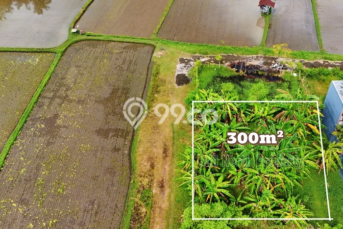 Tanah Kavling Dijual di Buleleng dengan Spesifikasi 300m2 Tanah Kavling Dijual di Buleleng dengan Spesifikasi 300m2