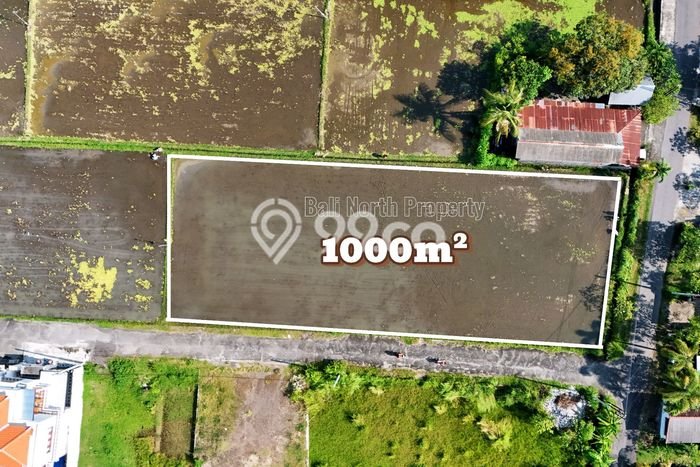 Dijual Tanah di Buleleng, Luas 1000m2 SHM Dijual Tanah di Buleleng, Luas 1000m2 SHM