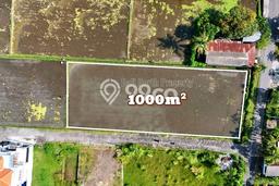 Tanah Dijual Area Strategis di Lovina Buleleng 1000m2 Tanah Dijual Area Strategis di Lovina Buleleng 1000m2