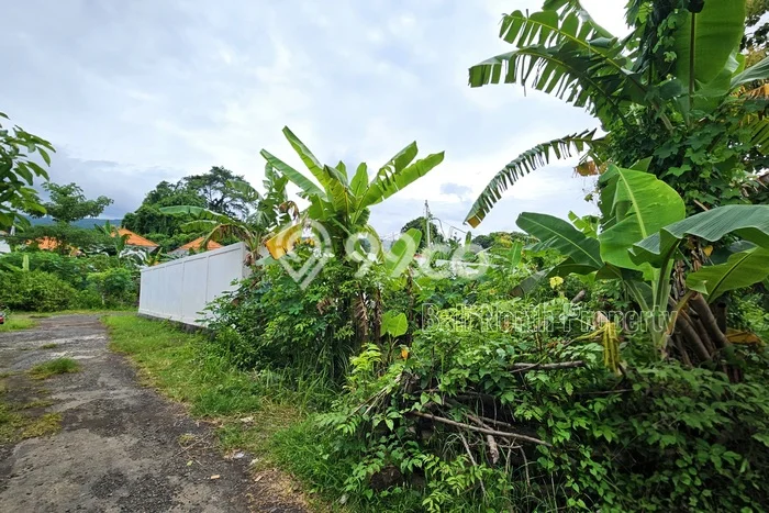 Untuk Dijual Tanah di Buleleng, Luas 200m2 SHM Untuk Dijual Tanah di Buleleng, Luas 200m2 SHM
