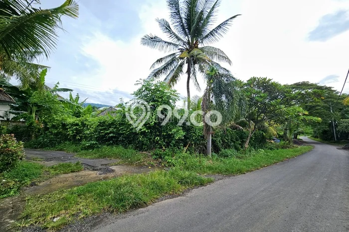 Tanah Investasi Dijual di Buleleng Punya Luas 319m2 Tanah Investasi Dijual di Buleleng Punya Luas 319m2