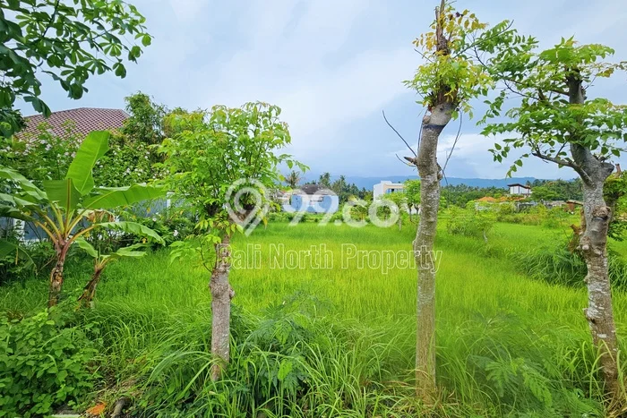 Tanah Kavling Dijual di Lovina, Buleleng dengan Luas Tanah 380m2 Tanah Kavling Dijual di Lovina, Buleleng dengan Luas Tanah 380m2