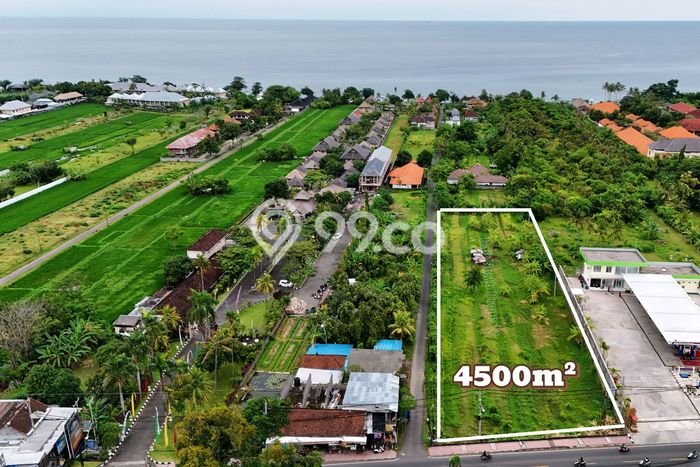 Kavling Tanah untuk Dijual di Lovina, Buleleng, Luas 4500m2 Kavling Tanah untuk Dijual di Lovina, Buleleng, Luas 4500m2