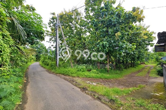 Tanah Kavling Dijual di Buleleng dengan Spesifikasi 600m2 Tanah Kavling Dijual di Buleleng dengan Spesifikasi 600m2
