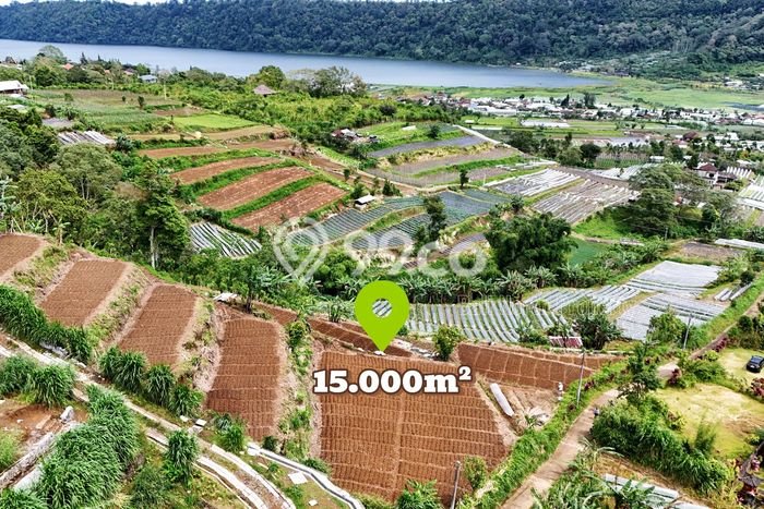 Kavling Tanah di Buleleng Dijual Luas 15000m2 Legalitas SHM Kavling Tanah di Buleleng Dijual Luas 15000m2 Legalitas SHM