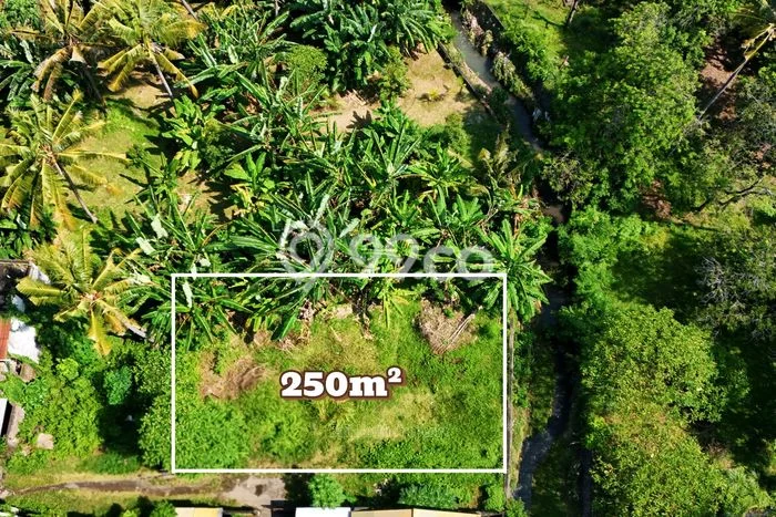 Tanah Dijual Area Strategis di Lovina Buleleng 250m2 Tanah Dijual Area Strategis di Lovina Buleleng 250m2