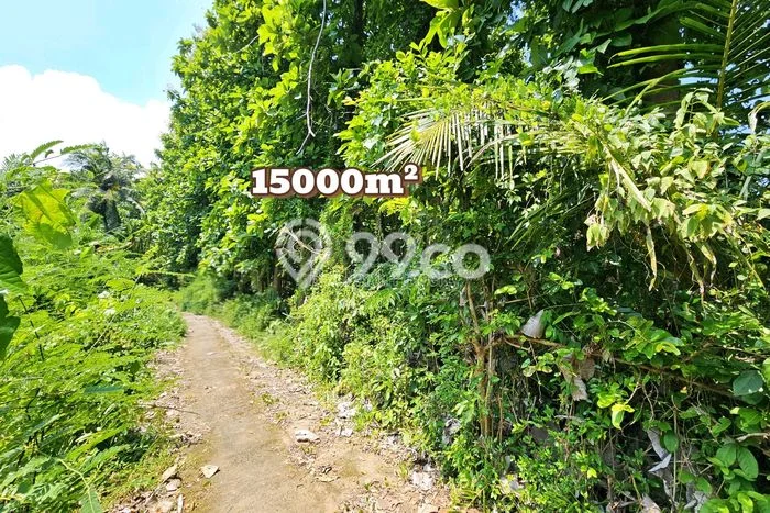 Dijual Tanah di Buleleng, Luas 15000m2 SHM Dijual Tanah di Buleleng, Luas 15000m2 SHM