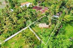 Dijual Tanah 1000m2 di Lovina, Buleleng Dijual Tanah 1000m2 di Lovina, Buleleng
