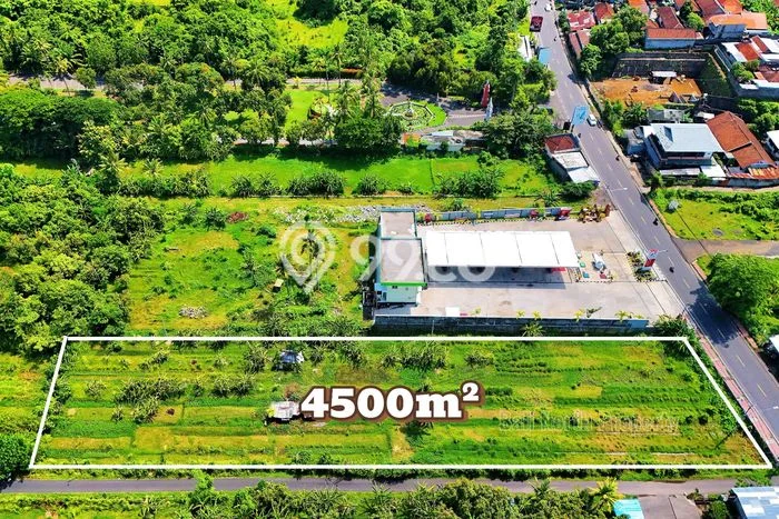Kavling Tanah untuk Dijual di Lovina, Buleleng, Luas 4500m2 Kavling Tanah untuk Dijual di Lovina, Buleleng, Luas 4500m2