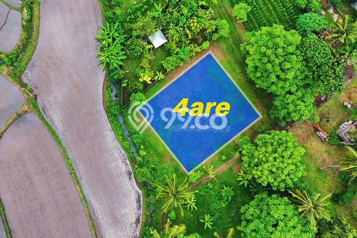 Untuk Dijual Tanah 400m2 di Lovina, Buleleng Untuk Dijual Tanah 400m2 di Lovina, Buleleng