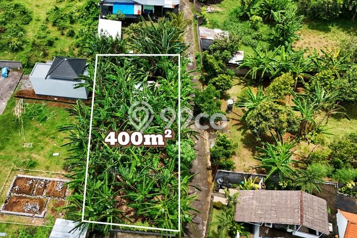Tanah Investasi Dijual di Buleleng Punya Luas 400m2 Tanah Investasi Dijual di Buleleng Punya Luas 400m2