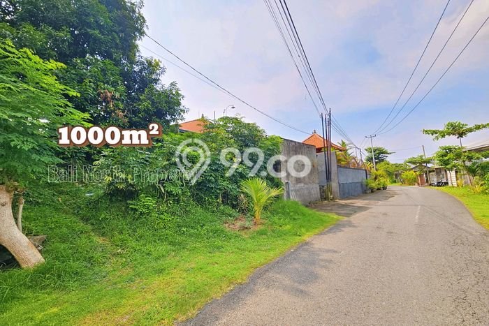 Tanah Strategis Dijual di Buleleng Buleleng 1000m2 Tanah Strategis Dijual di Buleleng Buleleng 1000m2