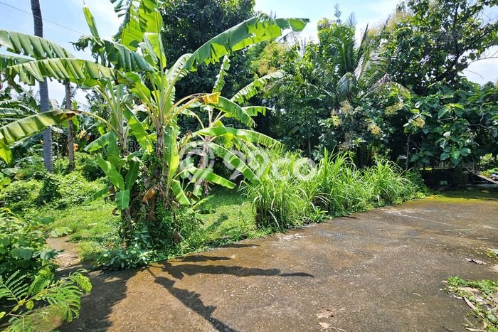 Tanah Dijual di Buleleng Seluas 150m2 Strategis Tanah Dijual di Buleleng Seluas 150m2 Strategis