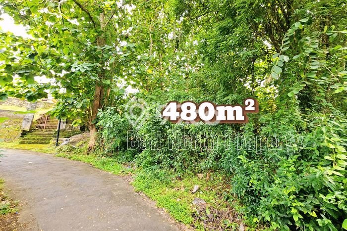 Lahan Kosong Dijual di Buleleng dengan Area 480m2 Lahan Kosong Dijual di Buleleng dengan Area 480m2