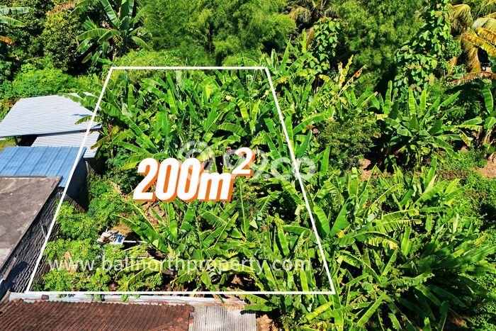 Tanah Siap Bangun Dijual di Buleleng Punya Luas 200m2 Tanah Siap Bangun Dijual di Buleleng Punya Luas 200m2