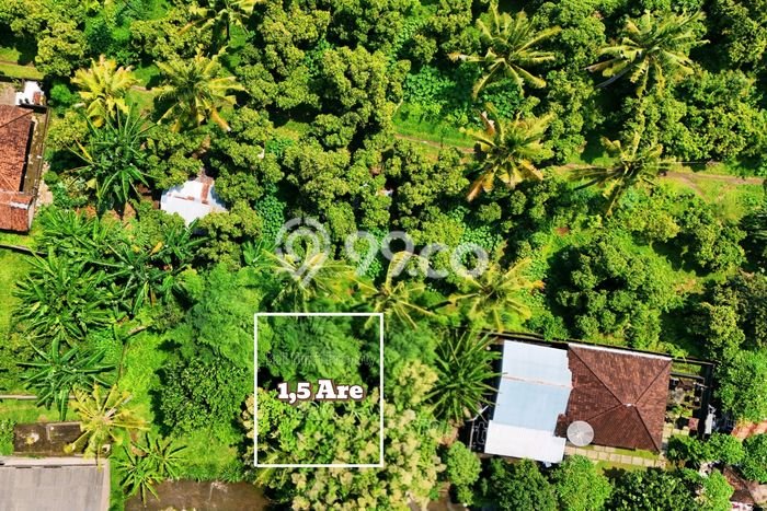Tanah Dijual di Buleleng Seluas 150m2 Strategis Tanah Dijual di Buleleng Seluas 150m2 Strategis
