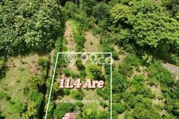 Tanah Dijual di Buleleng Seluas 1104m2 Strategis Tanah Dijual di Buleleng Seluas 1104m2 Strategis