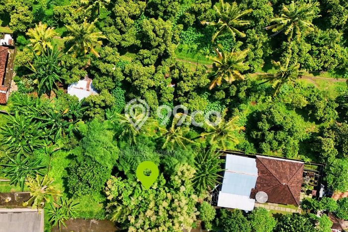 Tanah Dijual di Buleleng Seluas 150m2 Strategis Tanah Dijual di Buleleng Seluas 150m2 Strategis