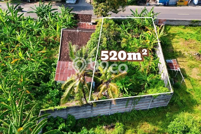 Tanah Kavling Dijual di Lovina, Buleleng dengan Luas Tanah 520m2 Tanah Kavling Dijual di Lovina, Buleleng dengan Luas Tanah 520m2