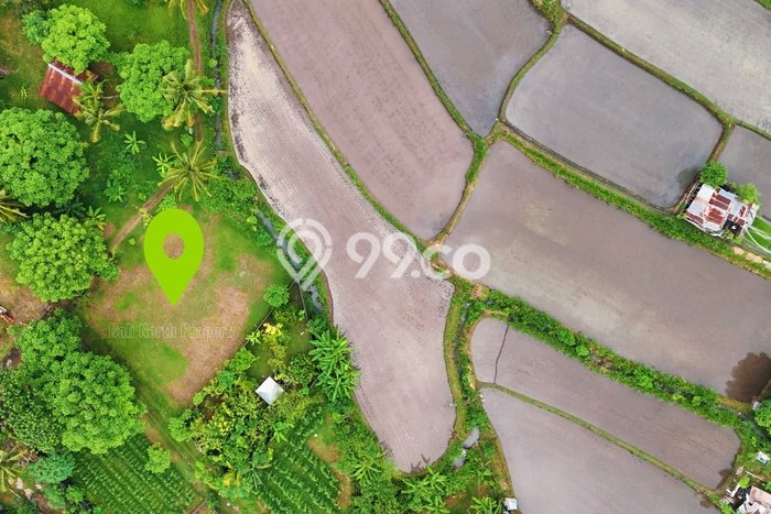Untuk Dijual Tanah 400m2 di Lovina, Buleleng Untuk Dijual Tanah 400m2 di Lovina, Buleleng
