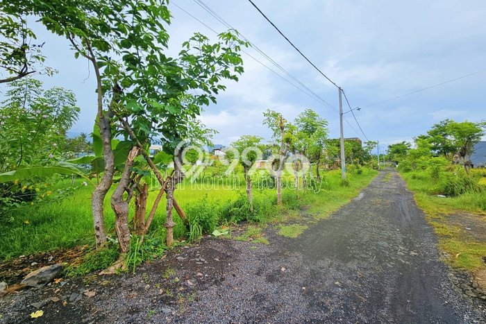 Tanah Kavling Dijual di Lovina, Buleleng dengan Luas Tanah 380m2 Tanah Kavling Dijual di Lovina, Buleleng dengan Luas Tanah 380m2