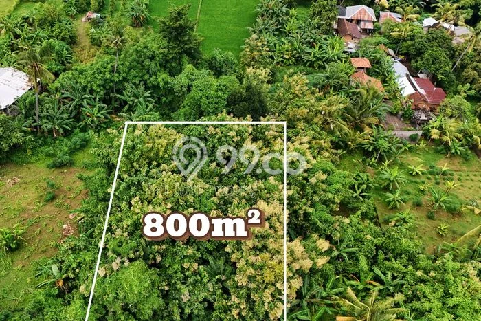 Dijual Tanah di Buleleng, Luas 800m2 SHM Dijual Tanah di Buleleng, Luas 800m2 SHM