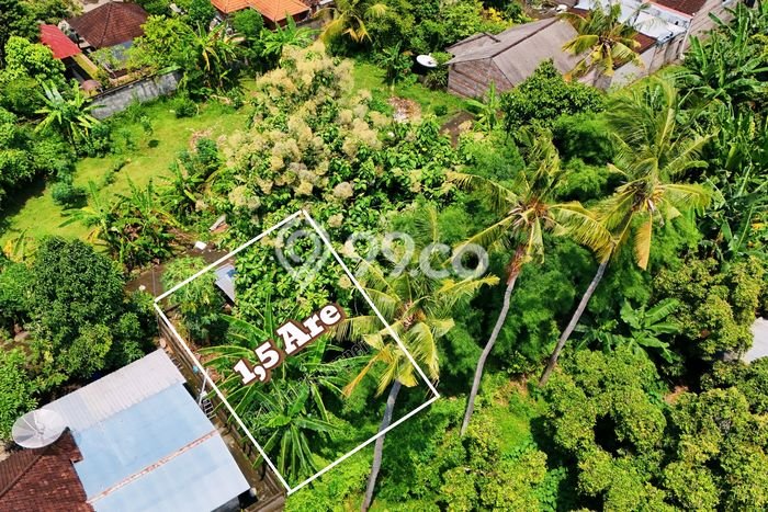 Untuk Dijual Tanah 150m2 di Lovina, Buleleng Untuk Dijual Tanah 150m2 di Lovina, Buleleng