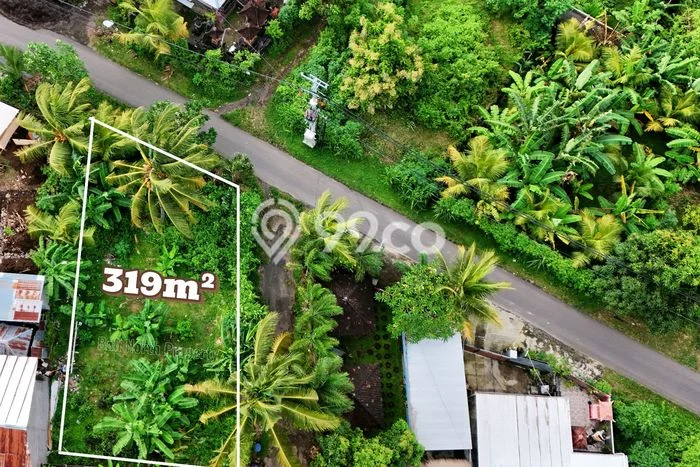 Tanah Investasi Dijual di Buleleng Punya Luas 319m2 Tanah Investasi Dijual di Buleleng Punya Luas 319m2