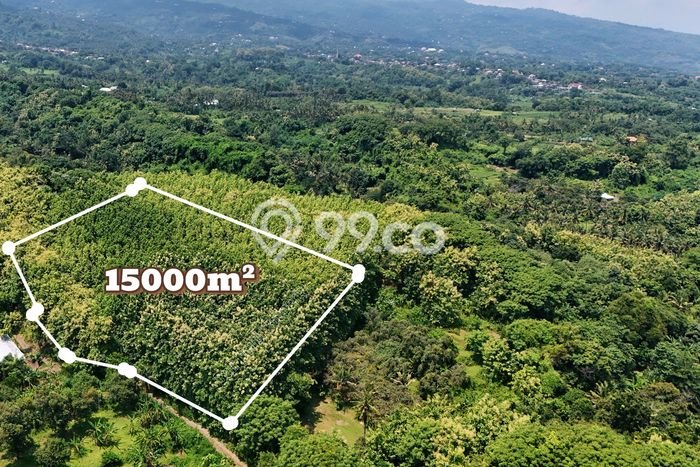 Dijual Tanah di Buleleng, Luas 15000m2 SHM Dijual Tanah di Buleleng, Luas 15000m2 SHM