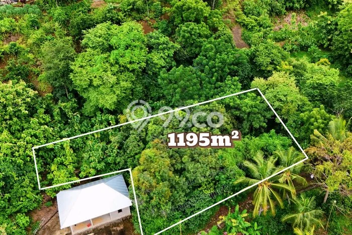 Dijual Tanah di Buleleng, Luas 1195m2 SHM Dijual Tanah di Buleleng, Luas 1195m2 SHM
