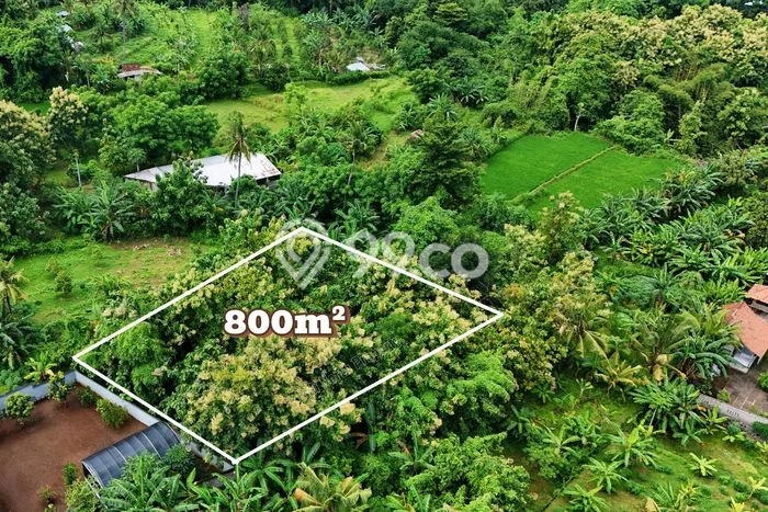 Dijual Tanah di Buleleng, Luas 800m2 SHM Dijual Tanah di Buleleng, Luas 800m2 SHM