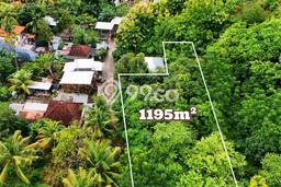 Kavling Tanah untuk Dijual di Lovina, Buleleng, Luas 1195m2 Kavling Tanah untuk Dijual di Lovina, Buleleng, Luas 1195m2