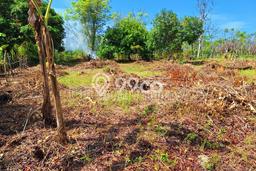 Tanah Dijual Area Strategis di Lovina Buleleng 1250m2 Tanah Dijual Area Strategis di Lovina Buleleng 1250m2