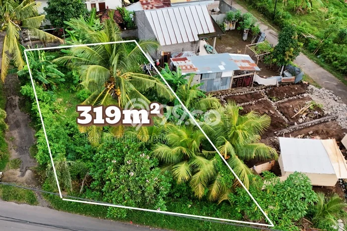 Tanah Investasi Dijual di Buleleng Punya Luas 319m2 Tanah Investasi Dijual di Buleleng Punya Luas 319m2