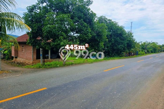 Kavling Tanah di Buleleng Dijual Luas 445m2 Legalitas SHM Kavling Tanah di Buleleng Dijual Luas 445m2 Legalitas SHM