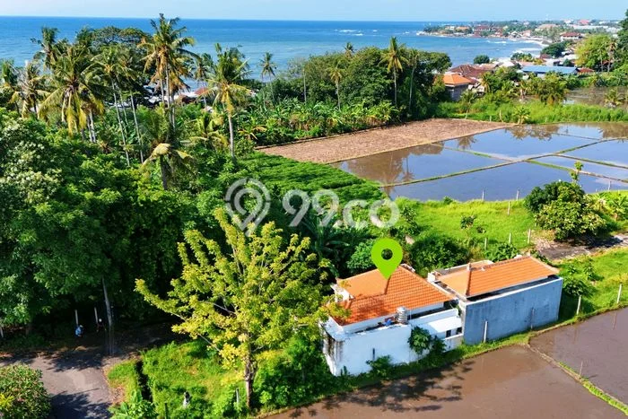 Dijual Rumah Eksklusif 3 KT di Lovina, Buleleng Dijual Rumah Eksklusif 3 KT di Lovina, Buleleng