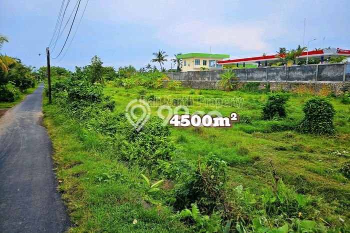 Kavling Tanah untuk Dijual di Lovina, Buleleng, Luas 4500m2 Kavling Tanah untuk Dijual di Lovina, Buleleng, Luas 4500m2