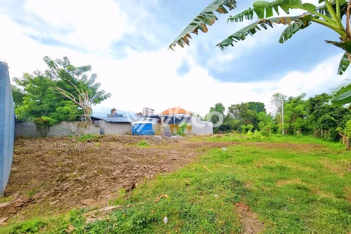 Tanah Dijual di Buleleng Seluas 300m2 Strategis Tanah Dijual di Buleleng Seluas 300m2 Strategis