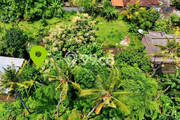 Untuk Dijual Tanah 150m2 di Lovina, Buleleng Untuk Dijual Tanah 150m2 di Lovina, Buleleng