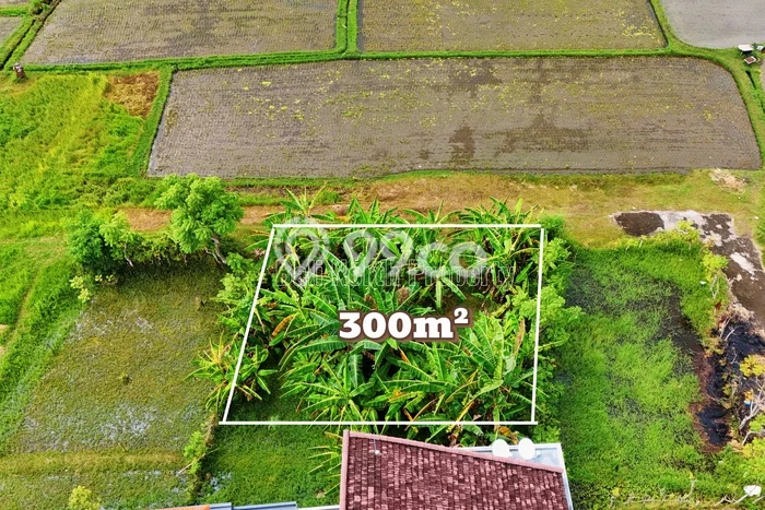 Tanah Kavling Dijual di Buleleng dengan Spesifikasi 300m2 Tanah Kavling Dijual di Buleleng dengan Spesifikasi 300m2