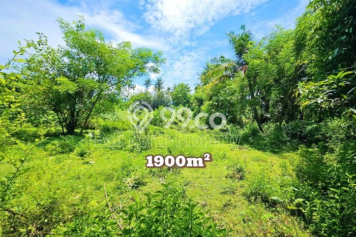 Tanah Dijual Area Strategis di Lovina Buleleng 1900m2 Tanah Dijual Area Strategis di Lovina Buleleng 1900m2