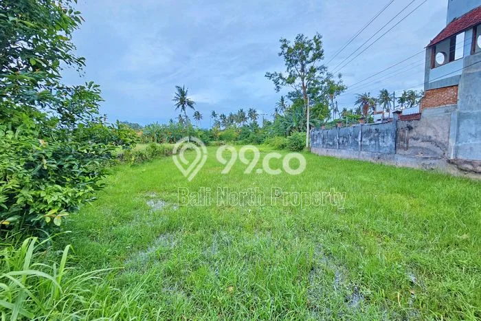 Dijual Tanah di Buleleng, Luas 600m2 SHM Dijual Tanah di Buleleng, Luas 600m2 SHM