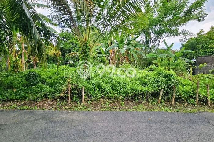 Kavling Tanah untuk Dijual di Lovina, Buleleng, Luas 300m2 Kavling Tanah untuk Dijual di Lovina, Buleleng, Luas 300m2