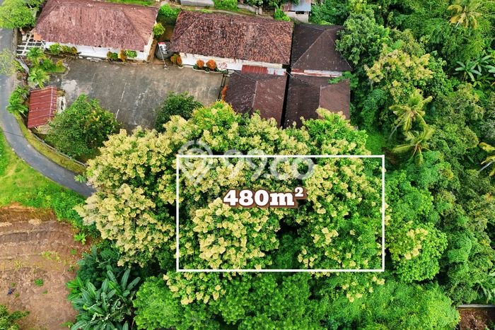 Lahan Kosong Dijual di Buleleng dengan Area 480m2 Lahan Kosong Dijual di Buleleng dengan Area 480m2