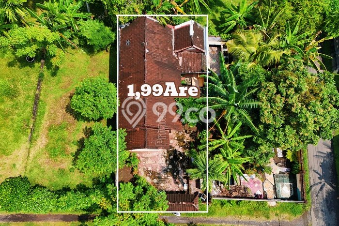 Dijual Hunian Rumah Nyaman 3 Kamar di Lovina, Buleleng Dijual Hunian Rumah Nyaman 3 Kamar di Lovina, Buleleng